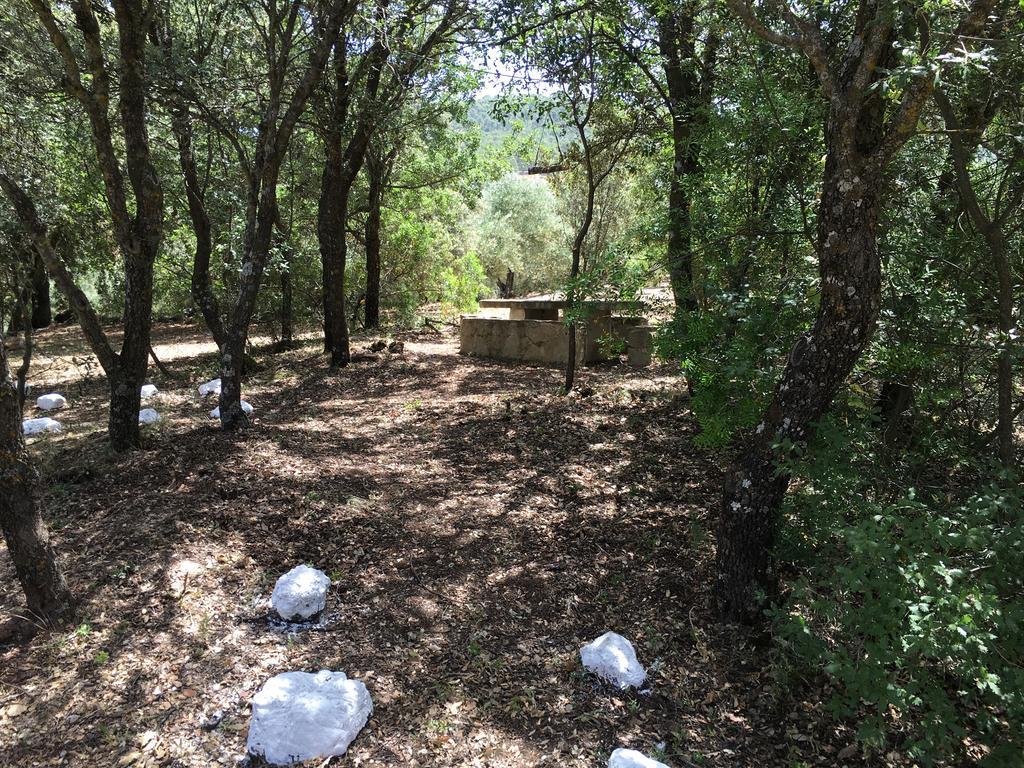 Casas Rurales La Loma Del Carrascal オルノス エクステリア 写真