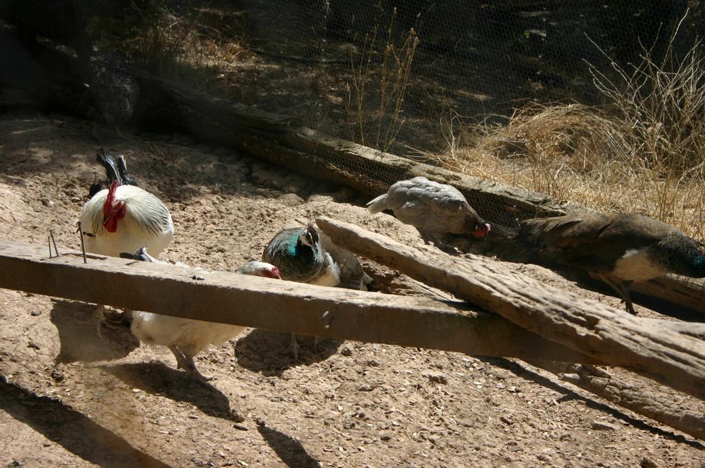 Casas Rurales La Loma Del Carrascal オルノス エクステリア 写真
