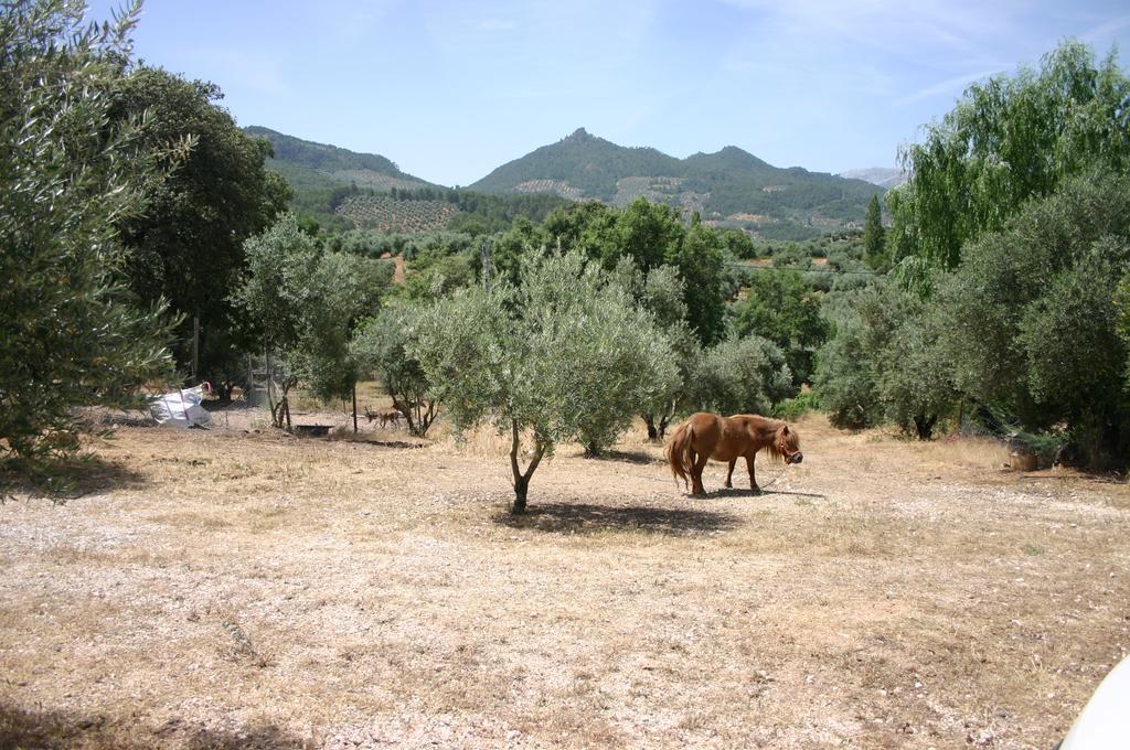 Casas Rurales La Loma Del Carrascal オルノス エクステリア 写真