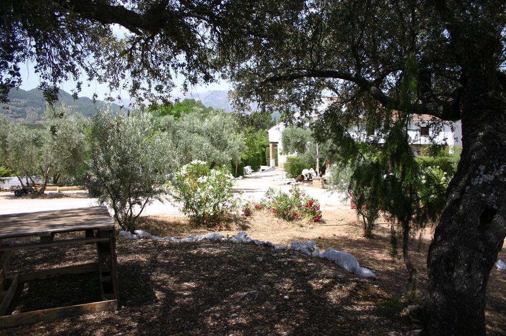 Casas Rurales La Loma Del Carrascal オルノス エクステリア 写真