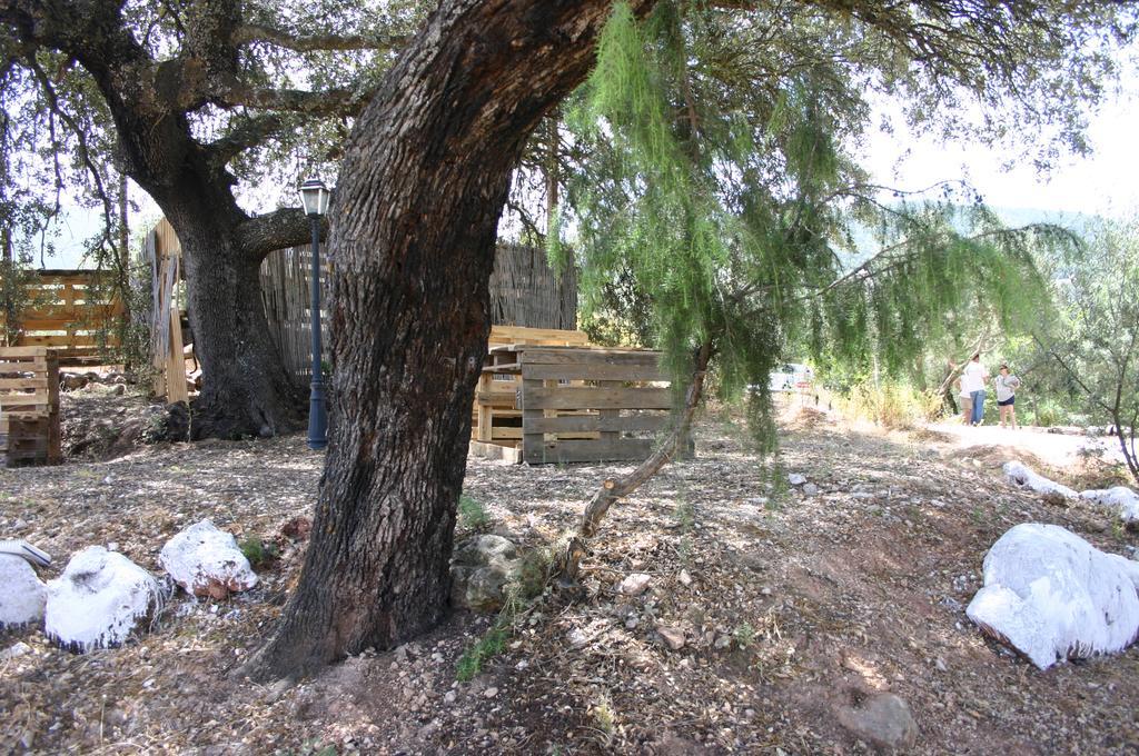 Casas Rurales La Loma Del Carrascal オルノス エクステリア 写真