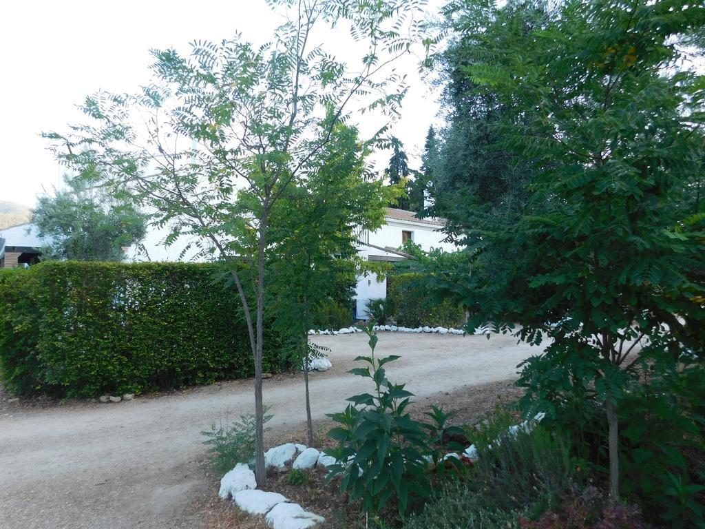 Casas Rurales La Loma Del Carrascal オルノス エクステリア 写真