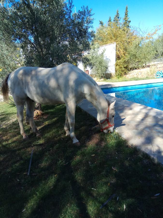 Casas Rurales La Loma Del Carrascal オルノス エクステリア 写真